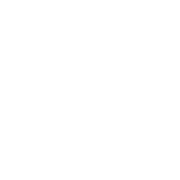 Marco Antonio Flores Alvarado